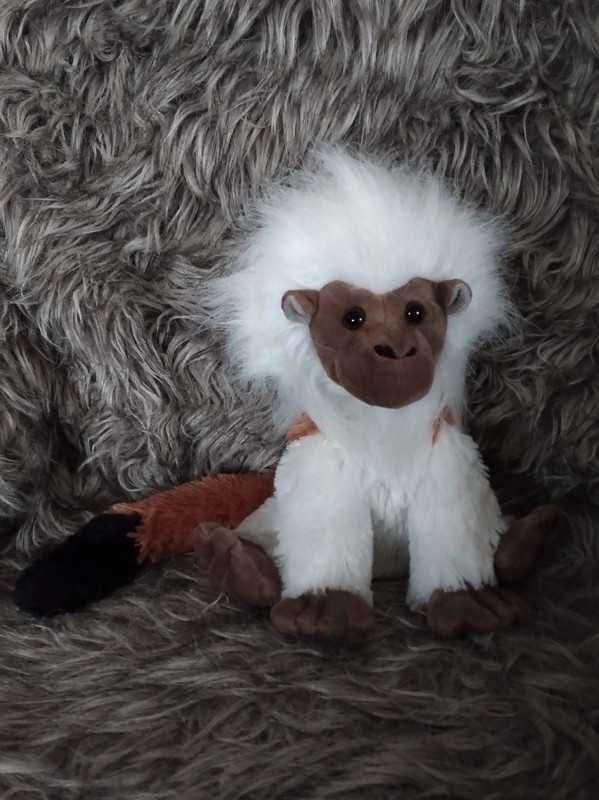 Maskotka Cotton Tamarin Tamaryna białoczuba pluszowa Małpka Fiesta WWF