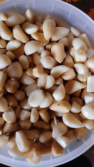 Часник очищений свіжий