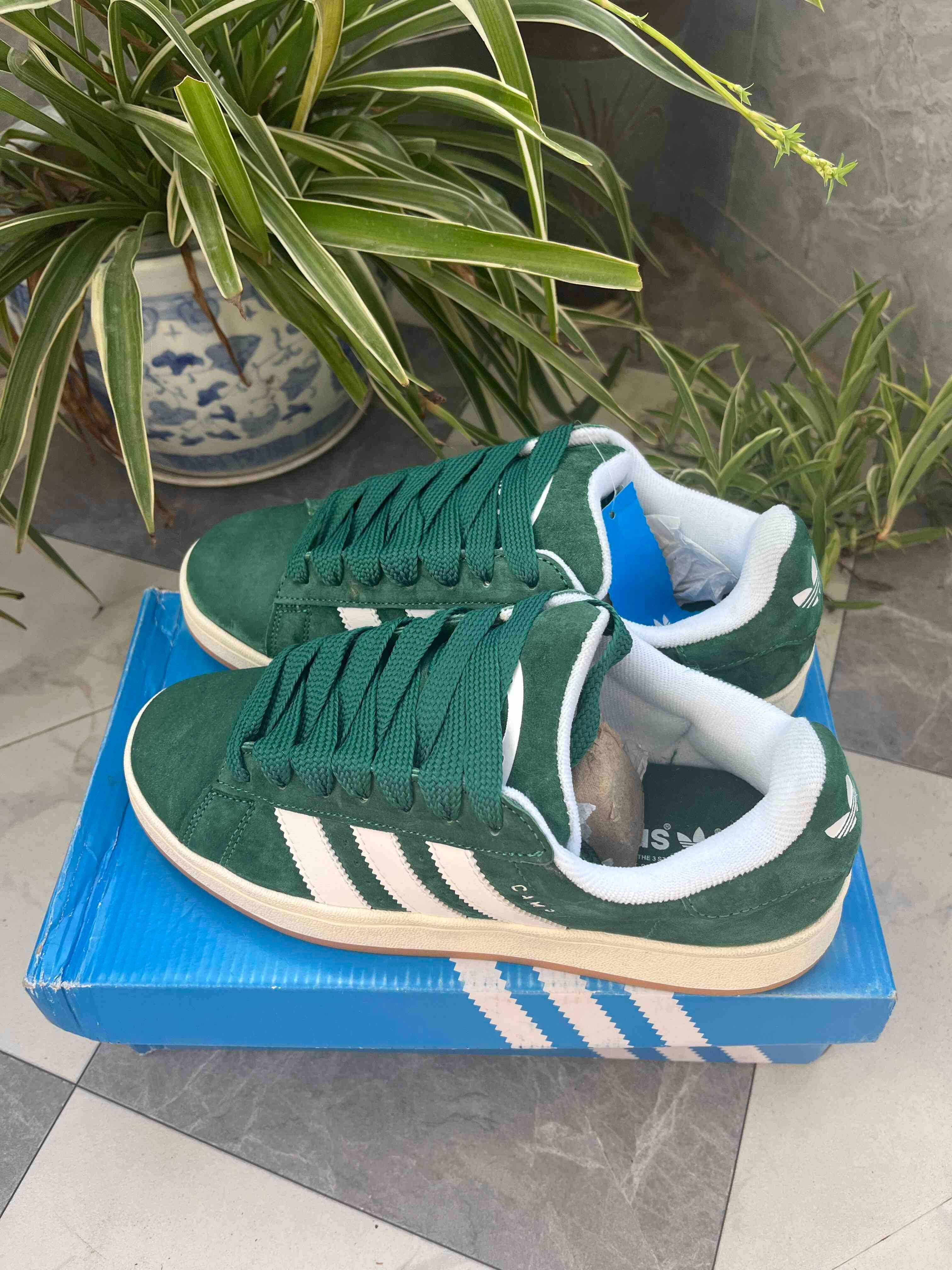 Adidas Campus 00s Green 39