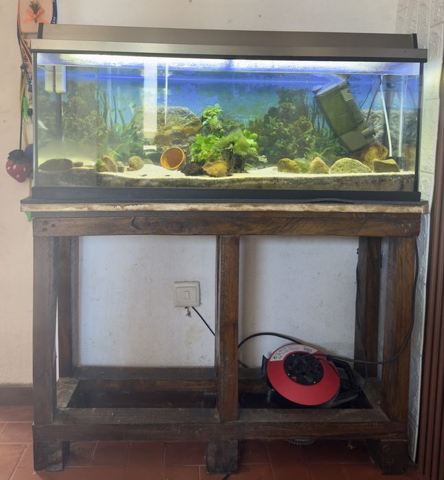 Aquário 120L + Móvel *acessórios incluidos*
