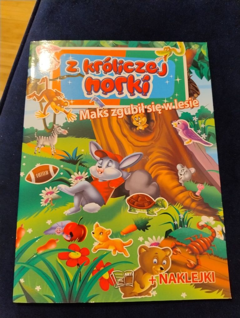 Książeczki: ziemia, dinozaury i z króliczej norki