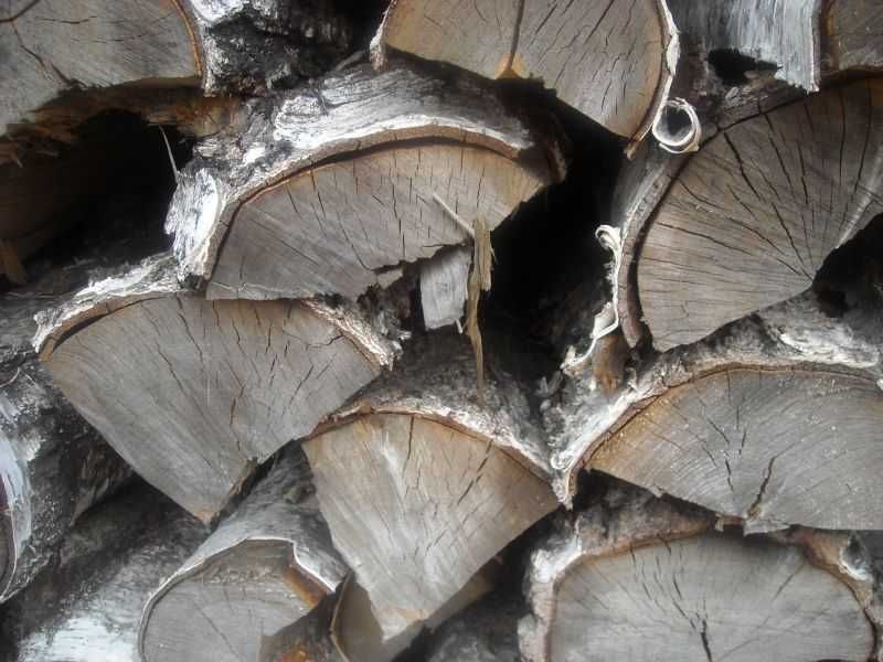 Drewno kominkowe sezonowane 2 -lata Suche Buk Dąb Brzoza Akacja Sosna