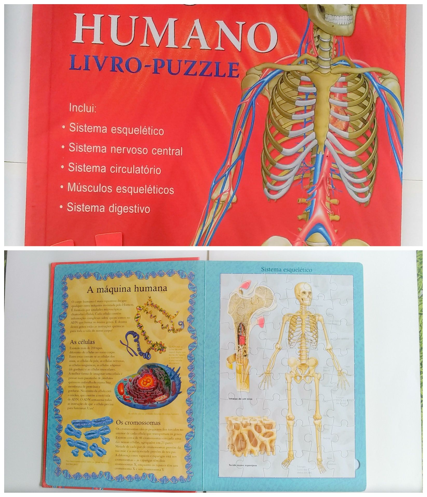 Livro puzzle Corpo Humano - Dr. Malcolm Clark