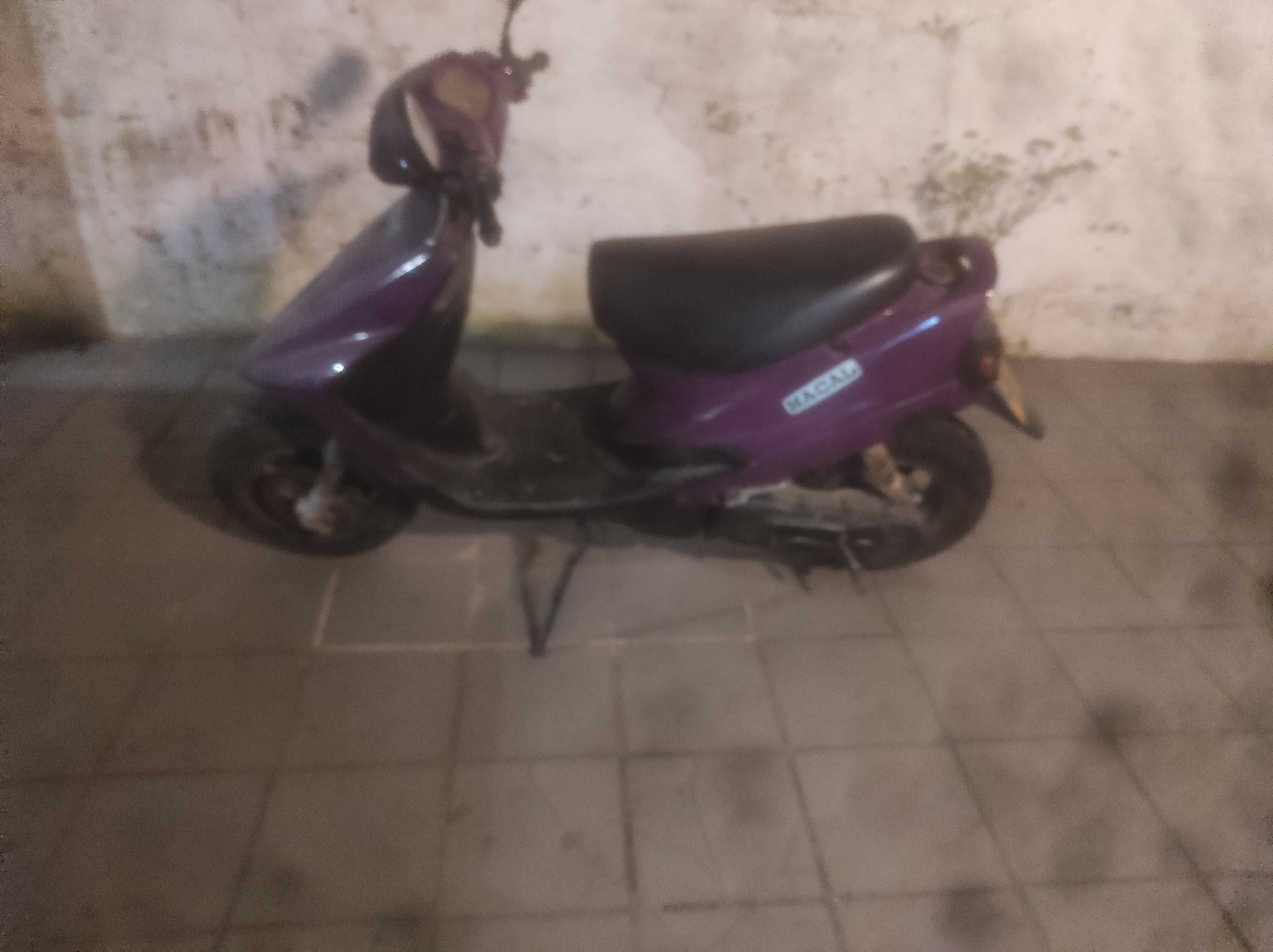 Macal thunder para venda
