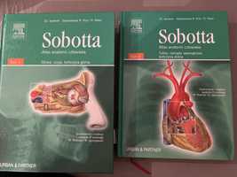 Sobotta atlas anatomii człowieka tom 1 i 2
