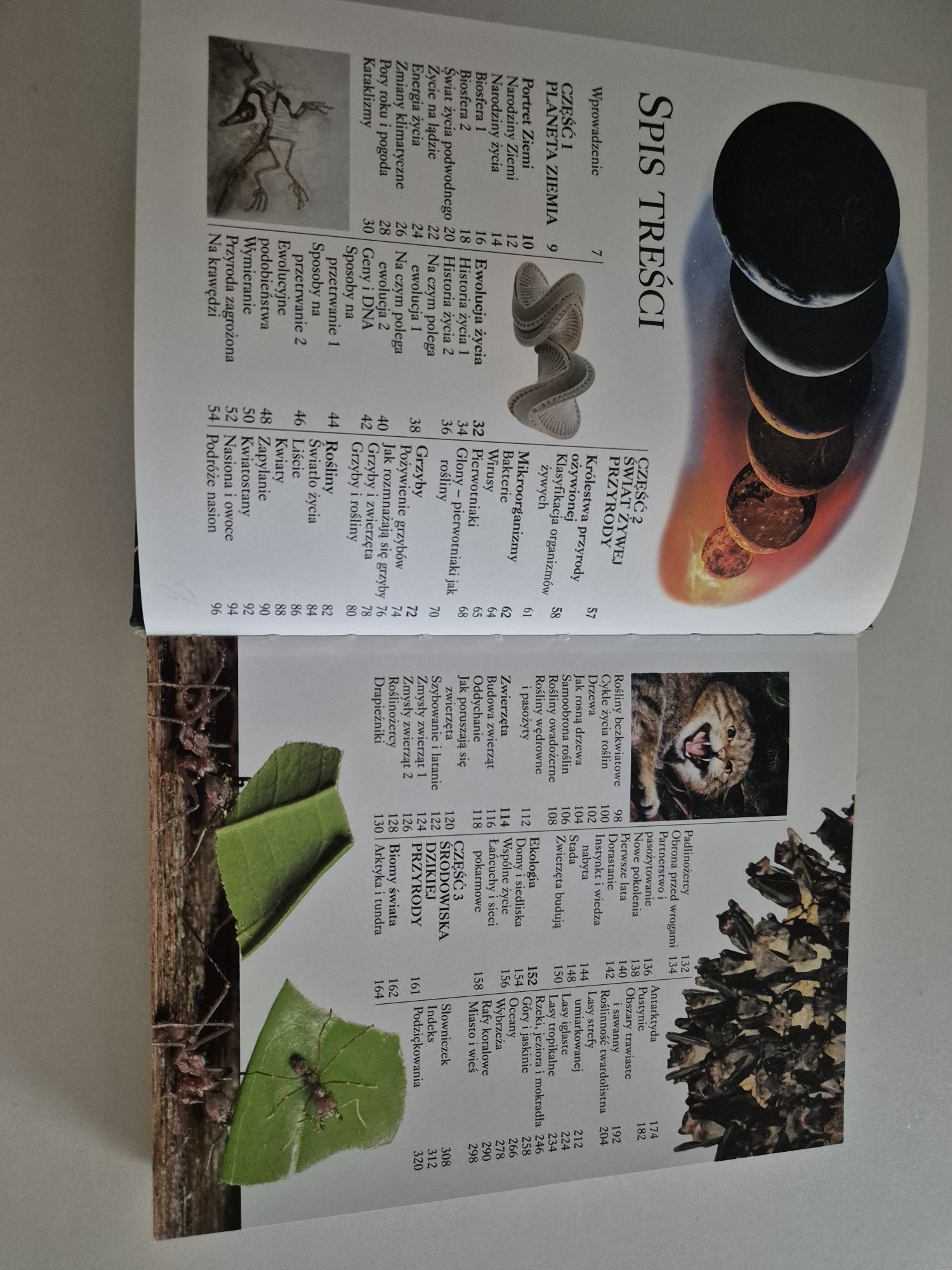 Książka wielka ilustrowana encyklopedia przyrody