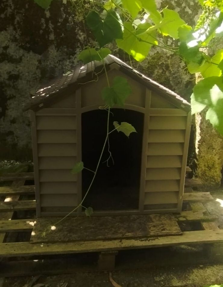 Casotas para cães XL
