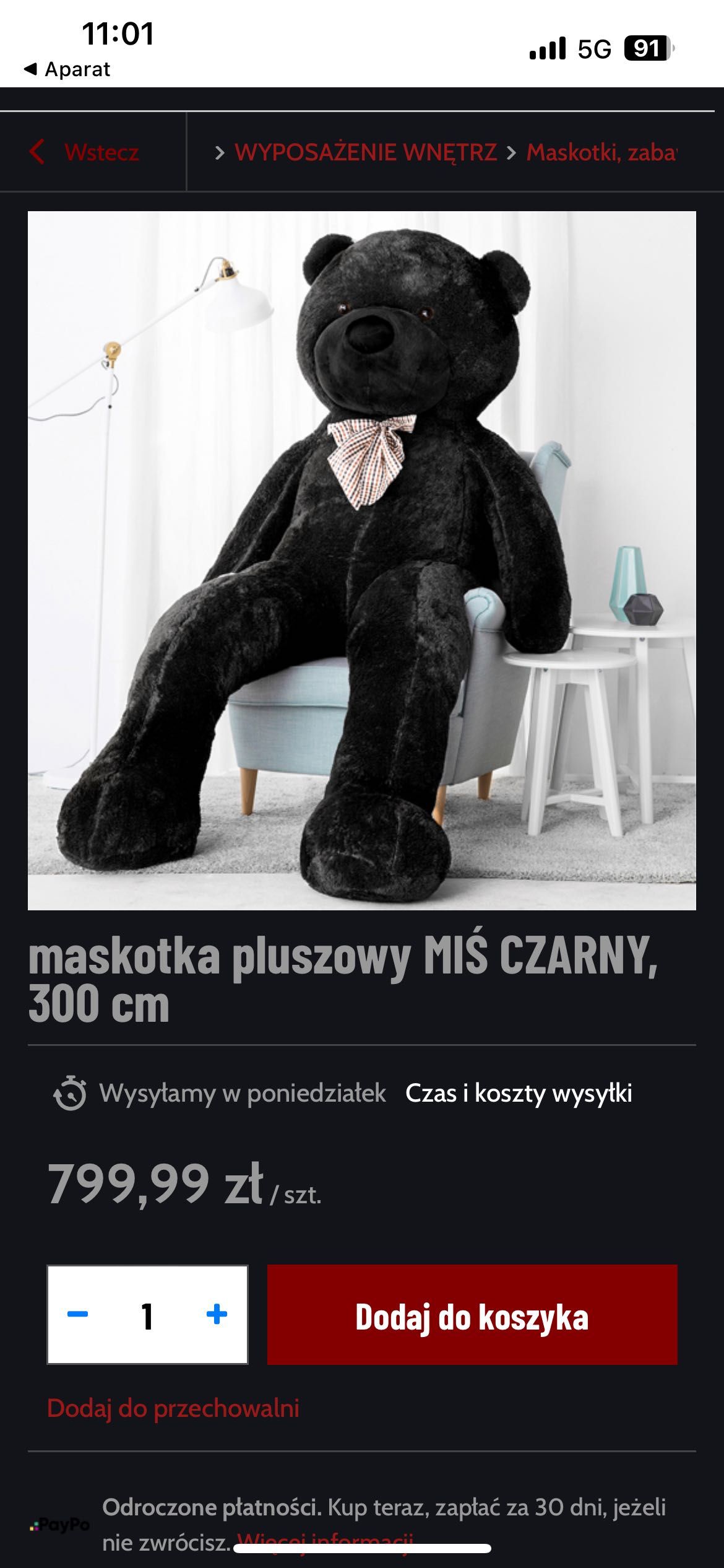 Maskotka 3 metry miś