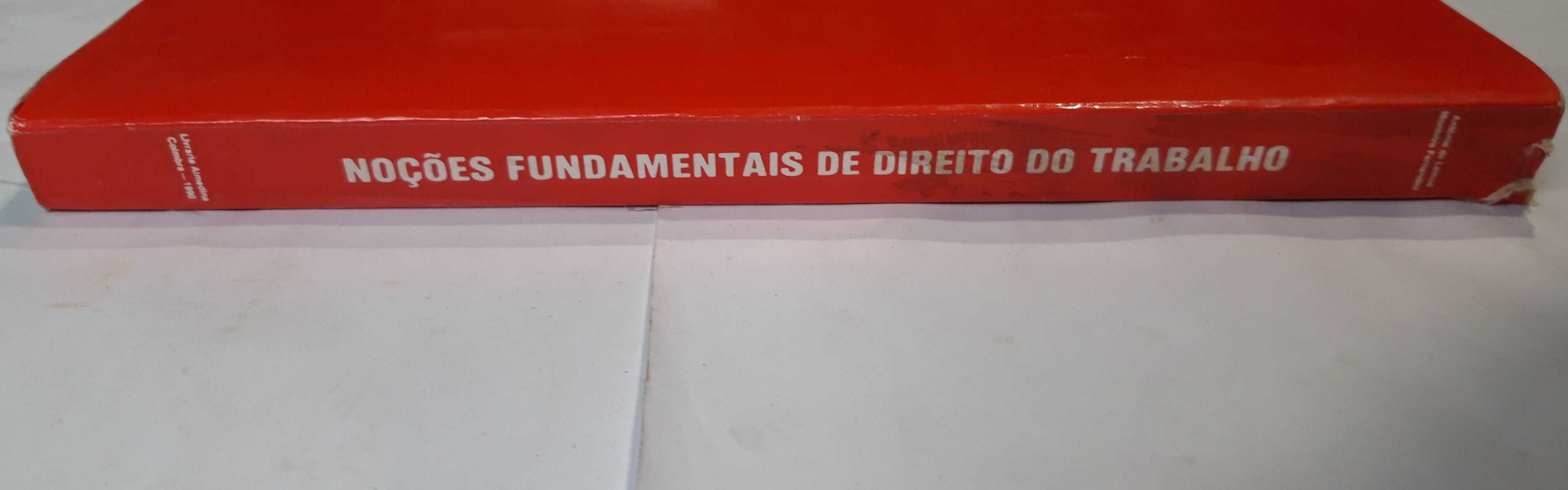 E1 - Livro - Noções Fundamentais de Direito do Trabalho 2