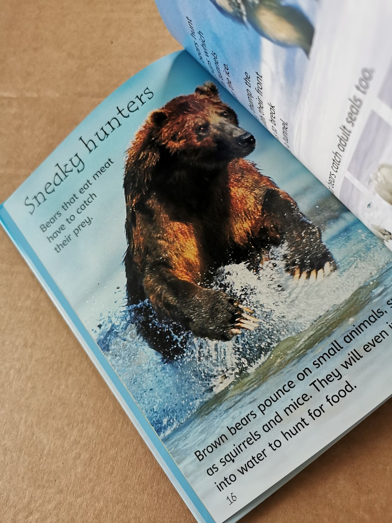 Usborne Beginners Bears książka angielski Montessori