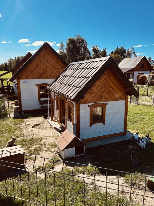 Domek Eden z balia i Sauną, mini zoo: alpaki, kucyki, kroliki