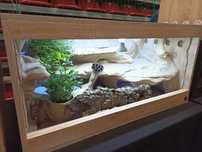 Terrarium 100x50x50 PREMIUM, dla agamy, lampa na UVB, podświetlenie