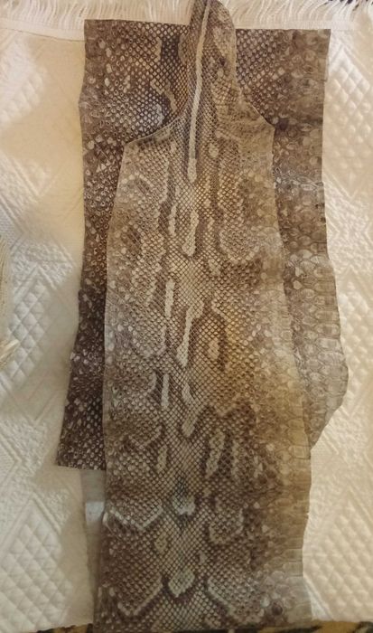 Pele de cobra anos 70 Angola