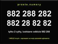 Prosty złoty numer proste złote numery SIM para zestaw firma VAT 23%