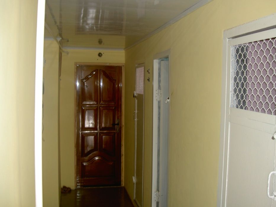 Дрессировка собак . Дрессировочный центр.