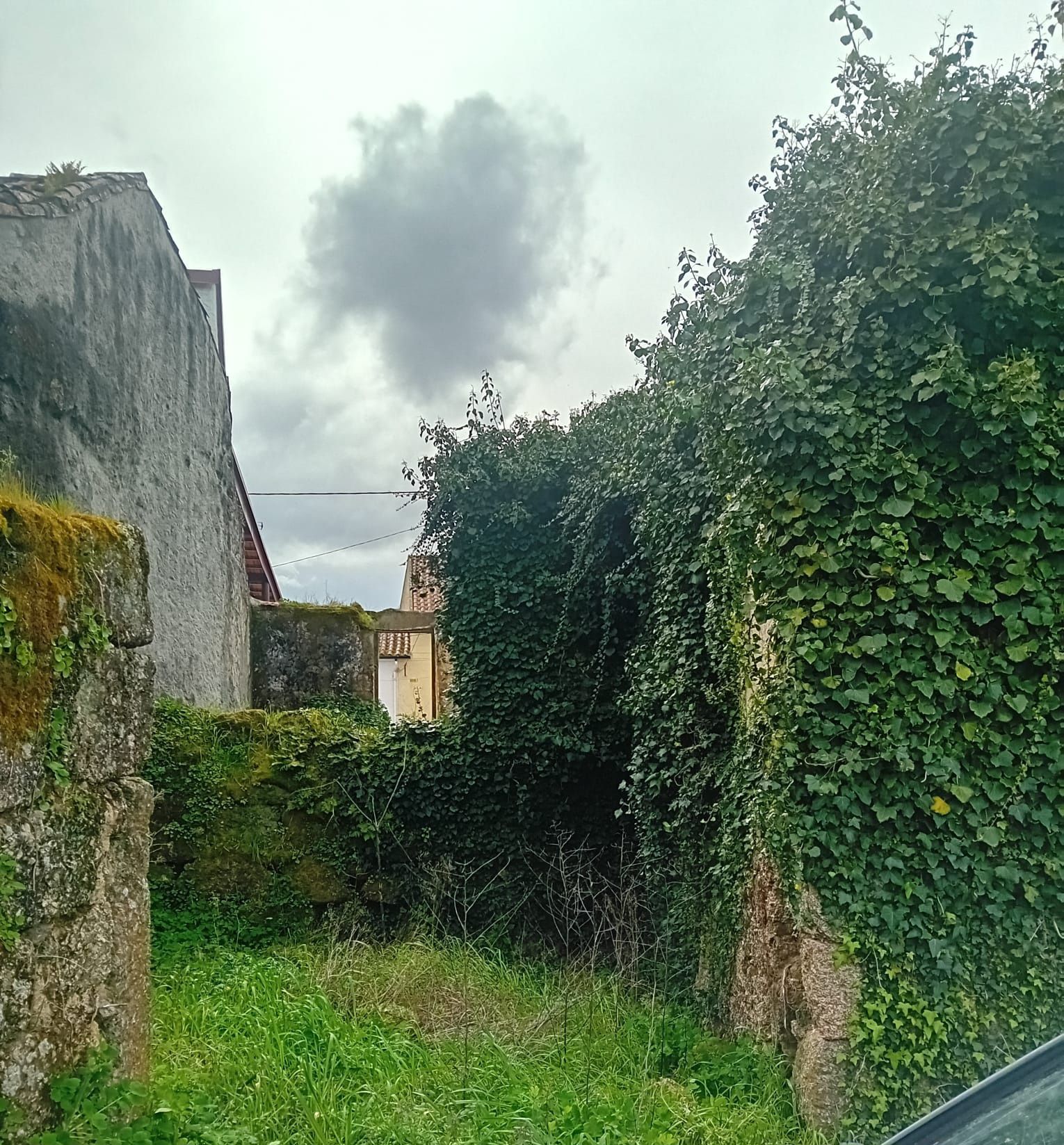 Moradia em ruínas para reconstrução