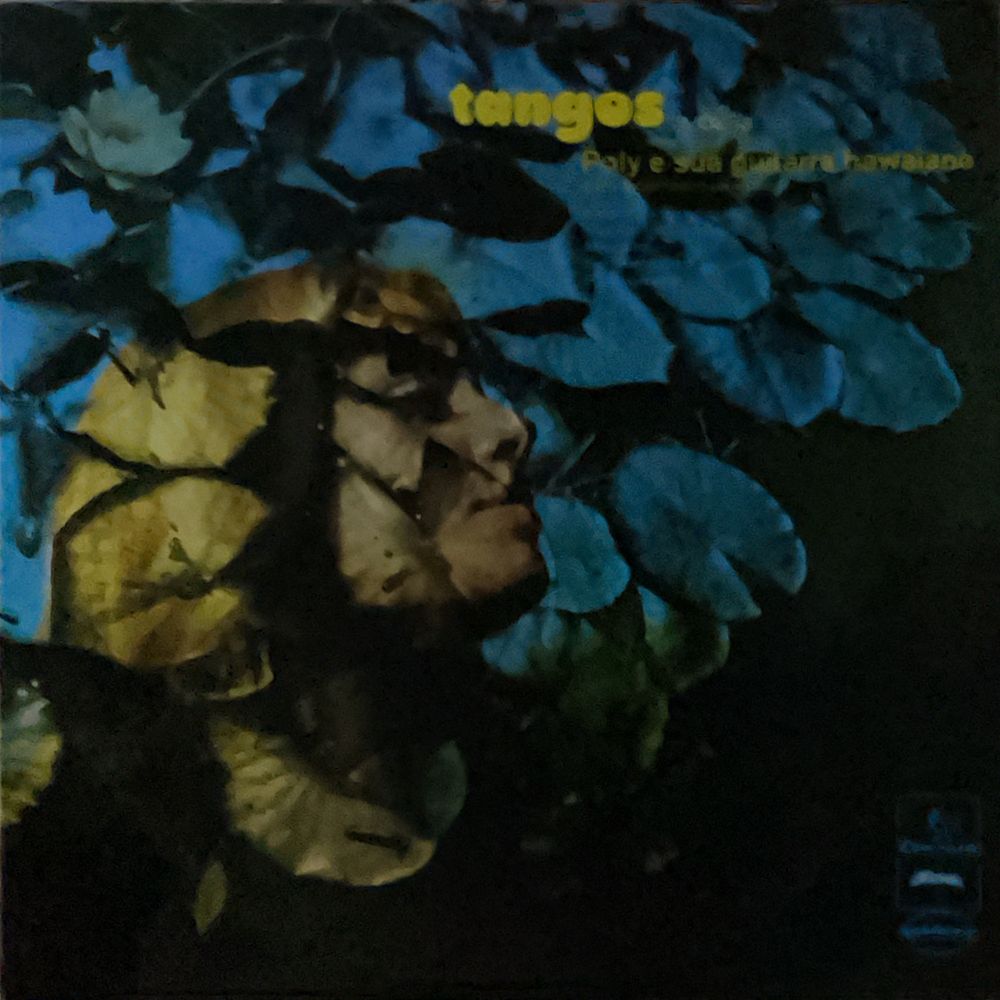 Discos Vinil Variados