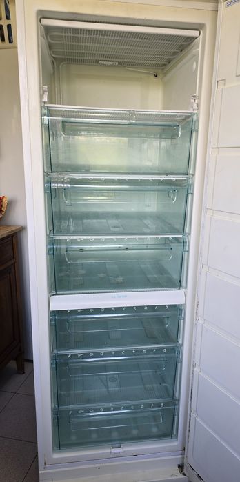 Arca frigorífica vertical electrolux