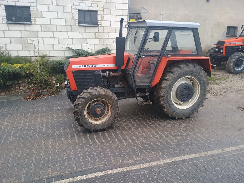 Ursus 1014 zarejestrowany