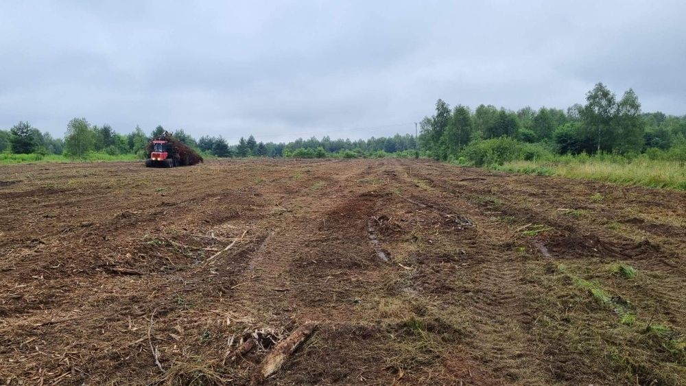 Wycinki, karczowanie drzew, mulczowanie TANIO !!