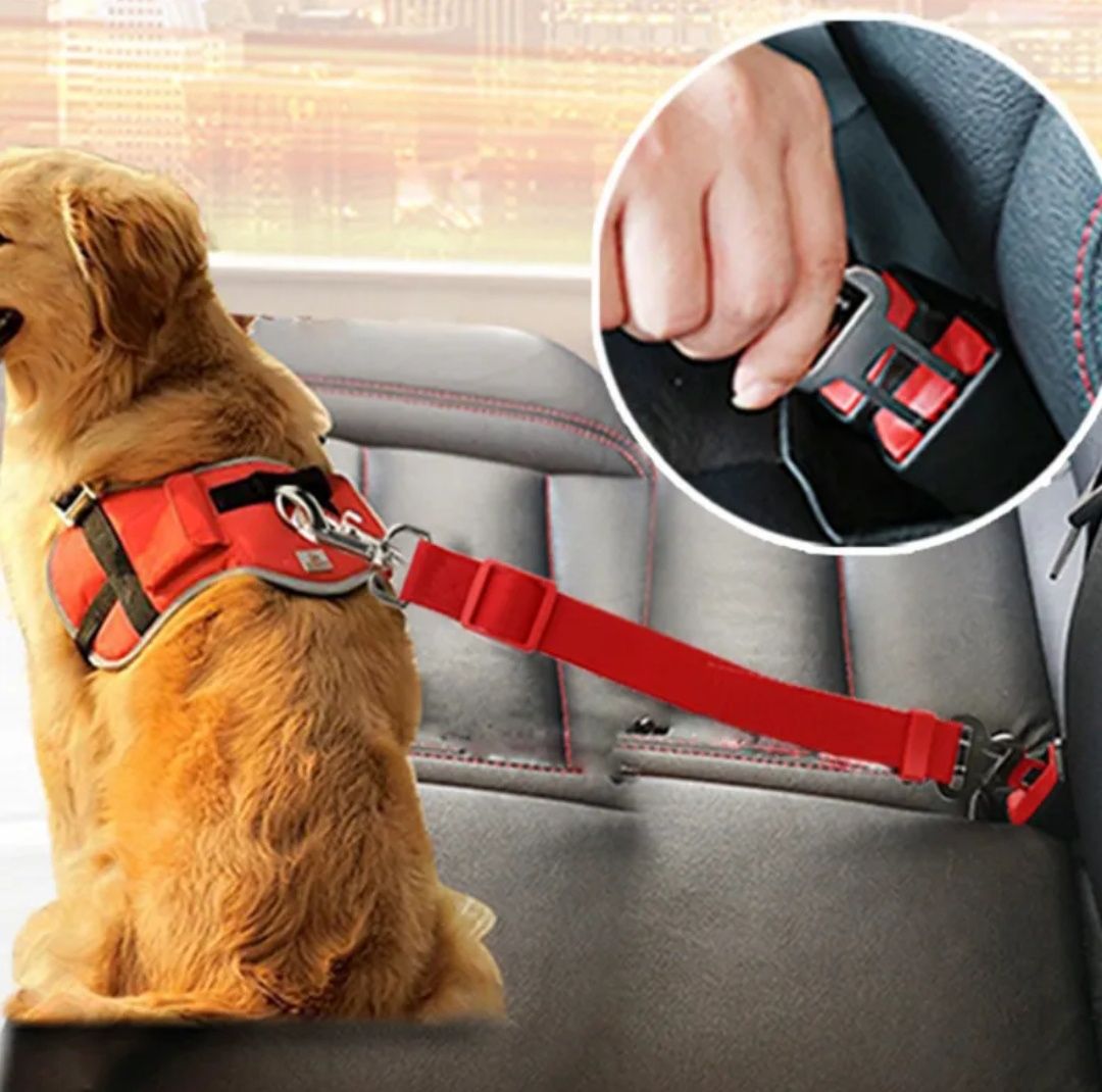 Ремень безопасности, поводок для собак в машину
