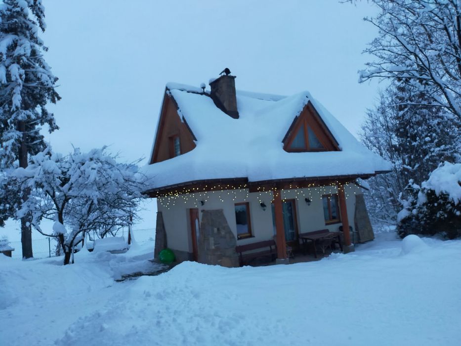 Domek Zakopane do wynajęcia