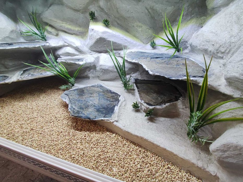 Terrarium pustynne nr668 120/60/60 dla agamy brodatej NA ZAMÓWIENIE