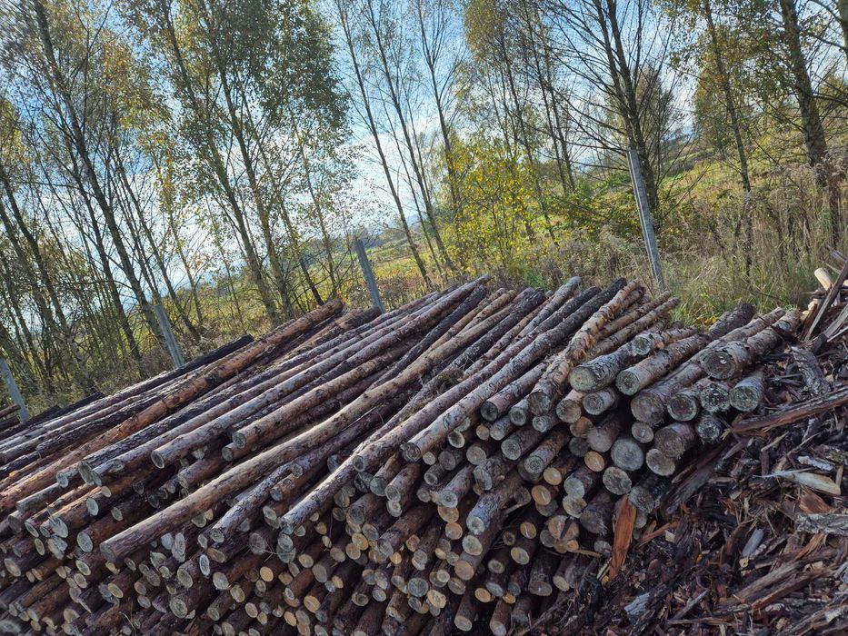 3 metrowe ,Stemple, stęple drewniane, nowe, budowlane’