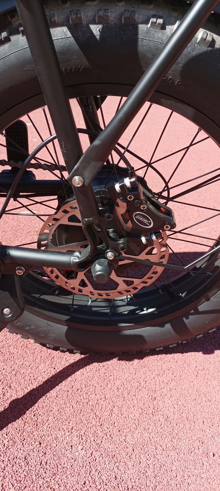 Bicicleta eletrica de 2 passageiros 2 motores (1000x2) GOGOBEST GF750