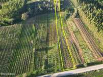 Terreno para agricultura em Alvorninha, Caldas da Rainha