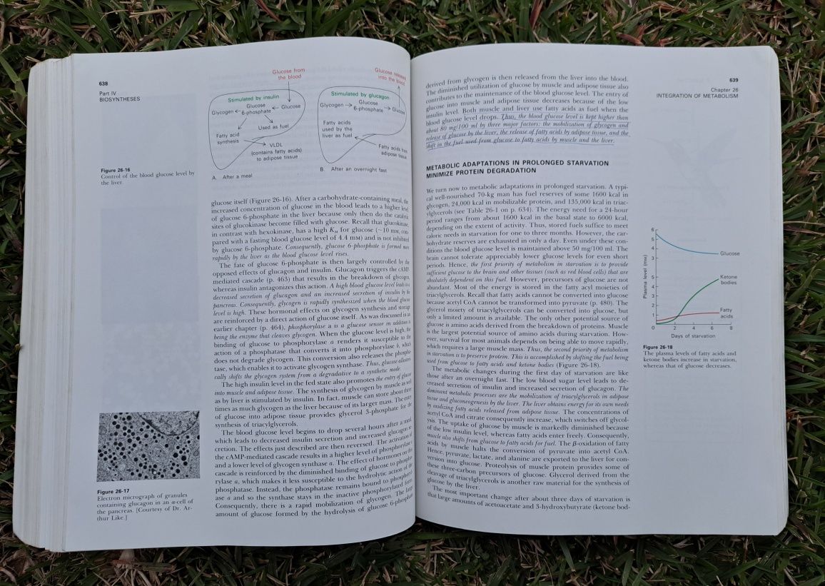 Livro BioChemistry