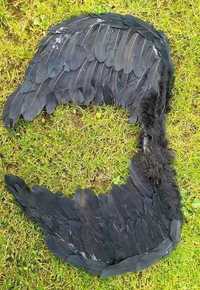 Extra duże skrzydła Czarne przebranie