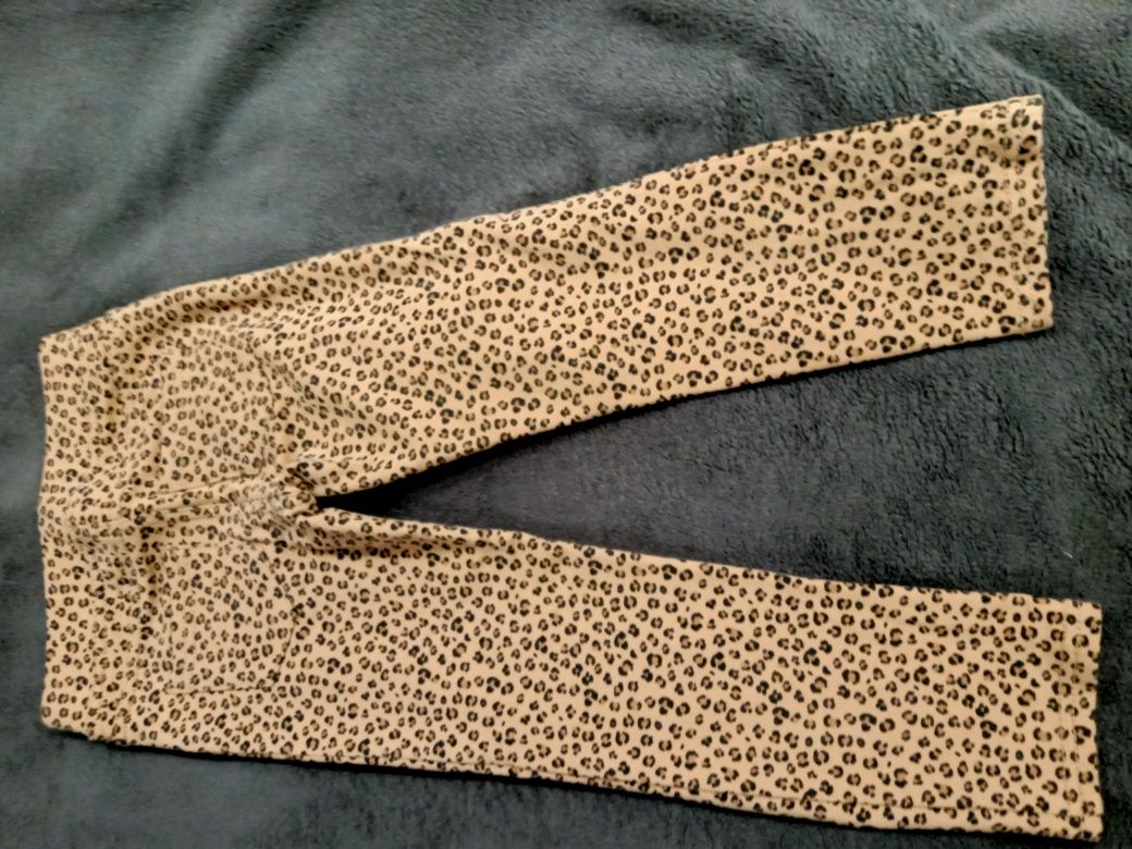 Spodnie treginsy h&m 110