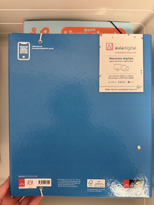 Kir professor 5.º ano português