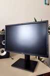 Monitor ASUS PB 248