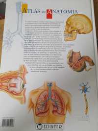 Livro - Atlas de anatomia