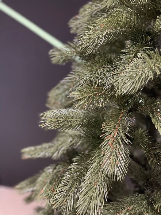 Лита ялинка Буковельська 1,5м - 2,5 м