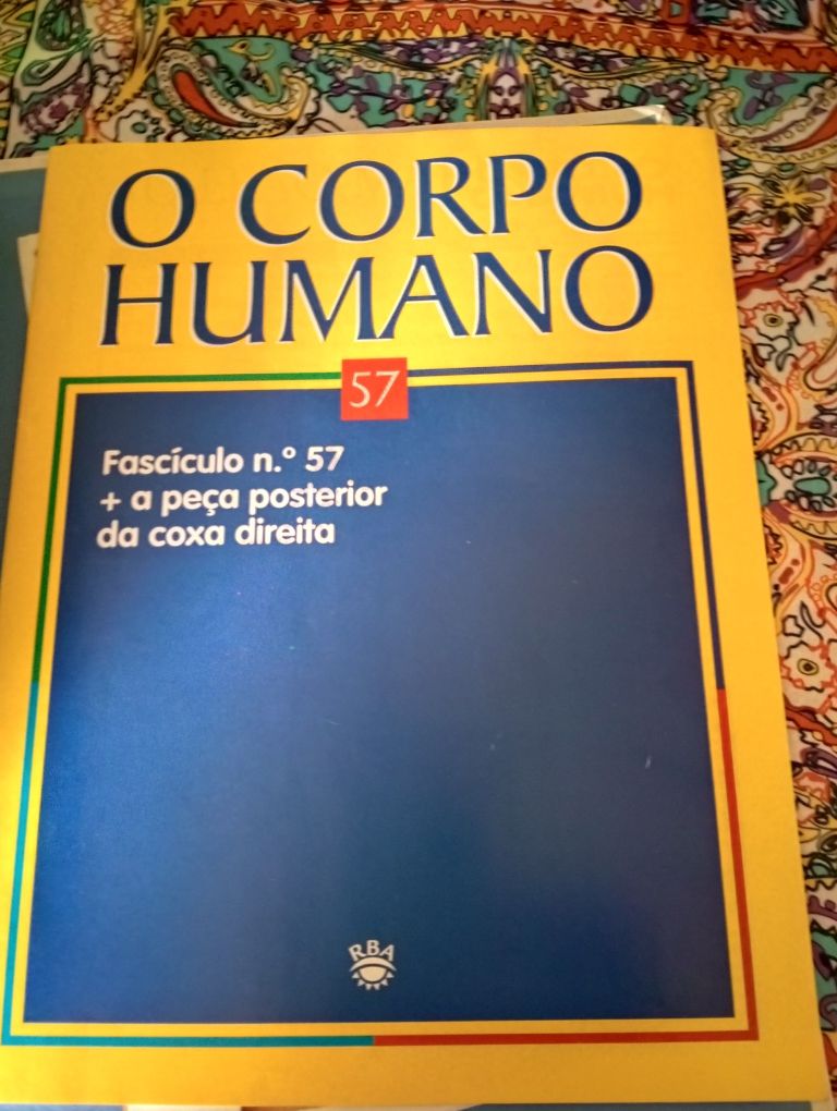 Conjunto de livros sobre o corpo humano.