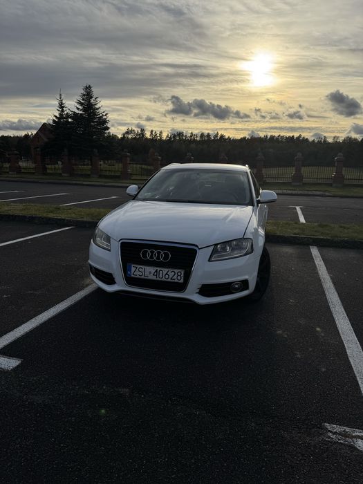 AUDI A3 8p 2008 1.9 TDI