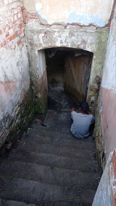 Opróżnianie domów mieszkań piwnic strychów garaży wycinka drzew gruz