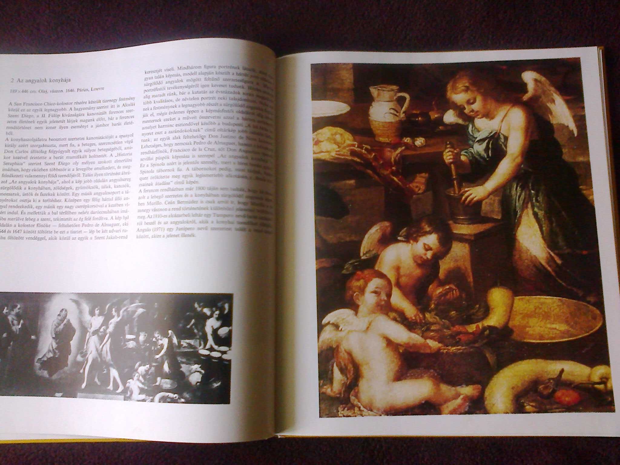 Книга на венгерском Murillo