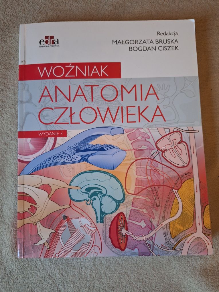 Anatomia człowieka.  Woźniak.