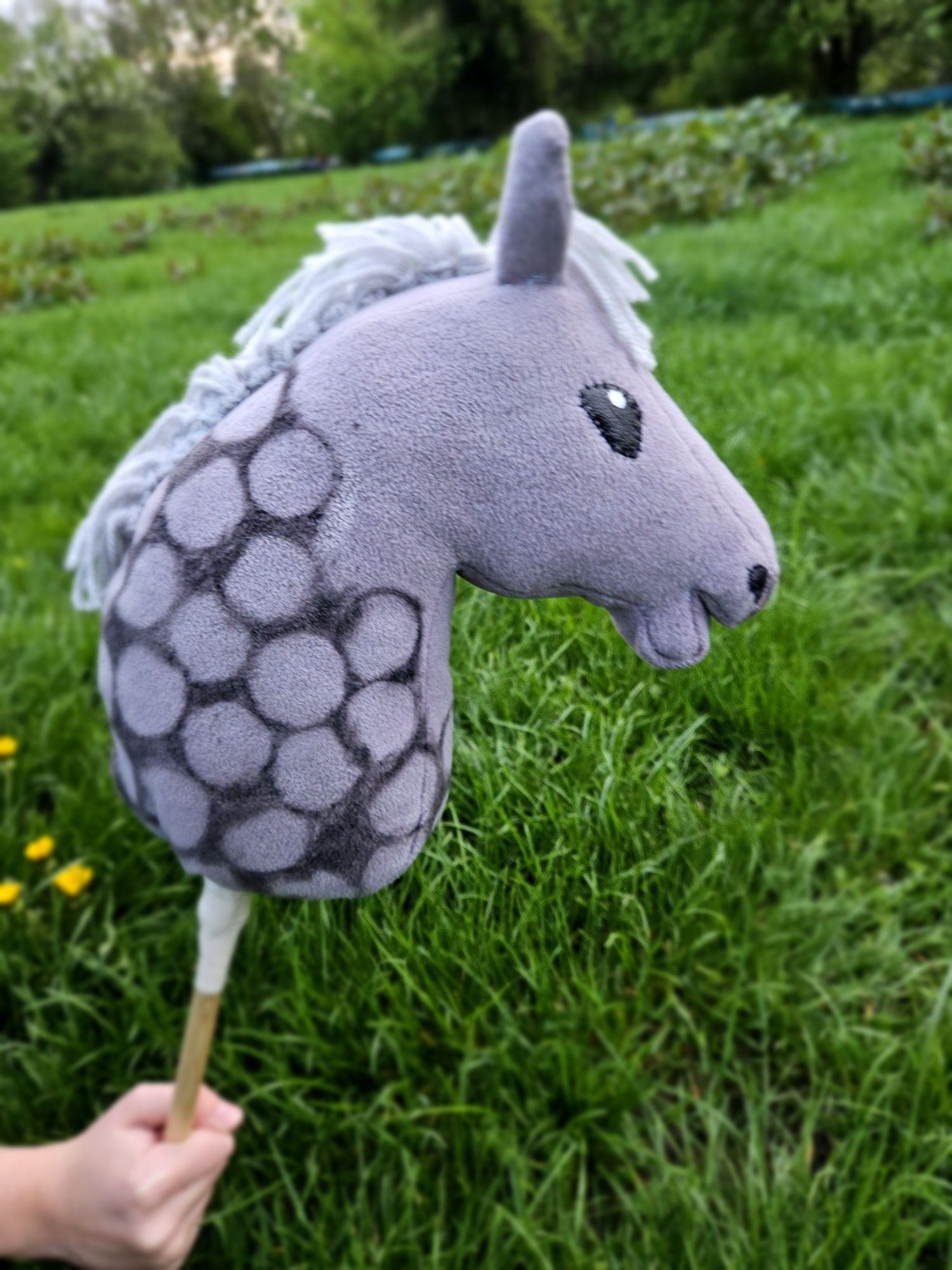 Sprzedam hobby horse A4 o imieniu Wizja.