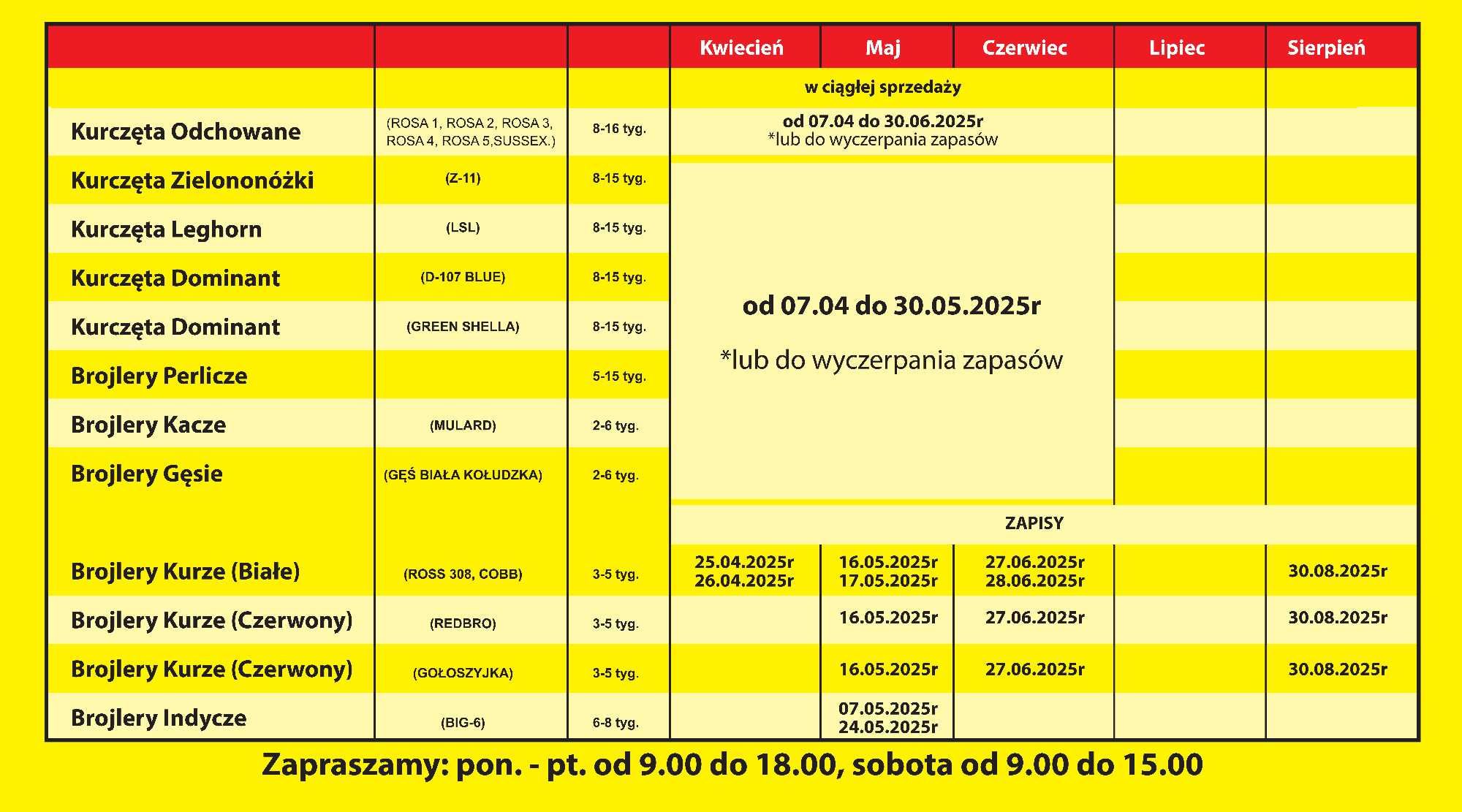 Gołoszyjka olbrzymia gołoszyjki brojler brojlery 5 tyg