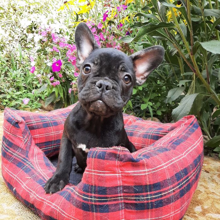 Мальчик и девочка