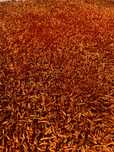 Tapete de sala laranja 160 x 230 cm