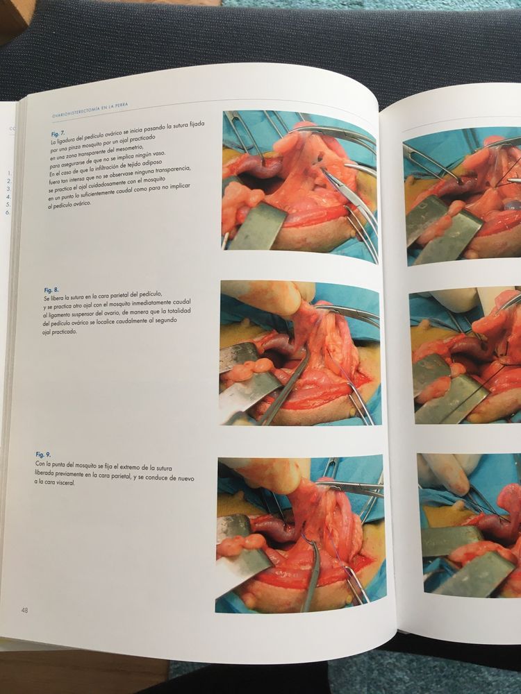 Livro veterinária : Bases anatomicas en intervenciones quirurgicas