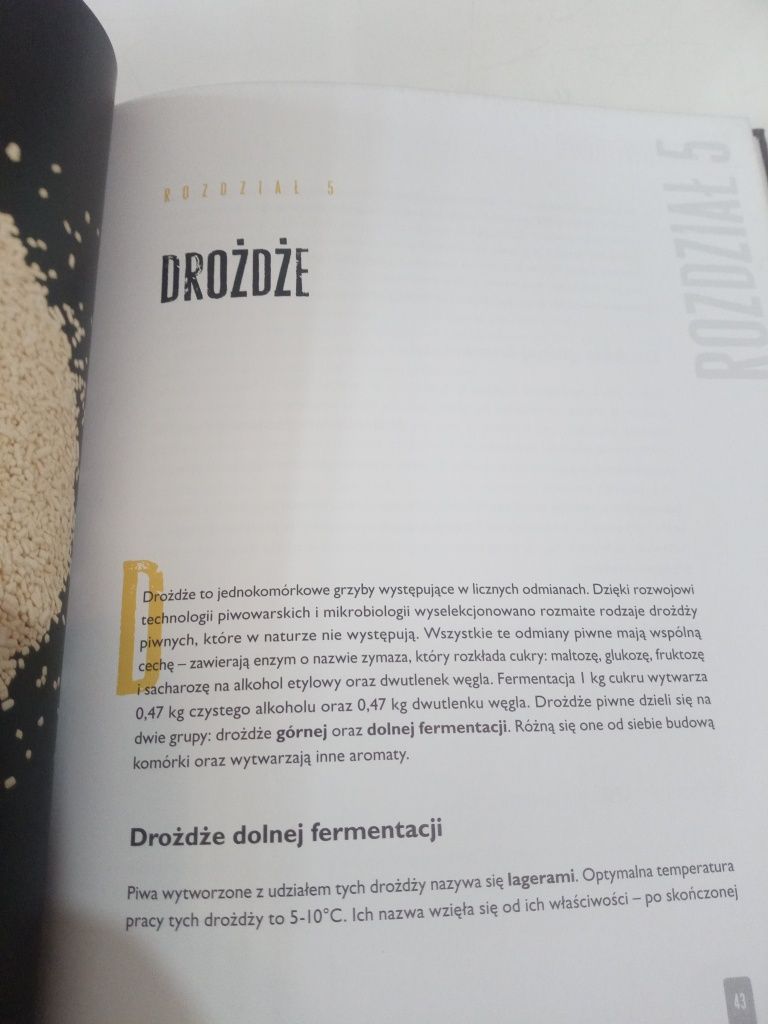 Domowe piwo - domowa spiżarka