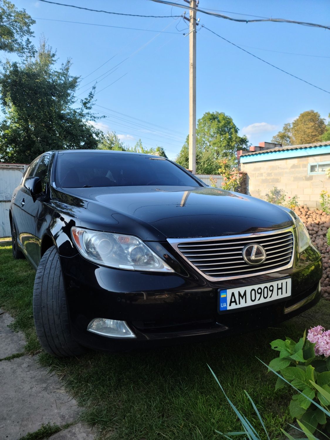 Lexus ls 460 long
