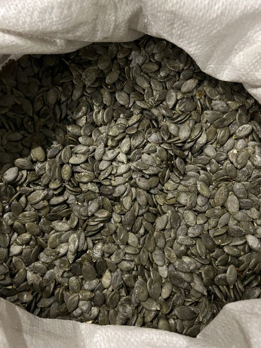 Голосімяне насіня